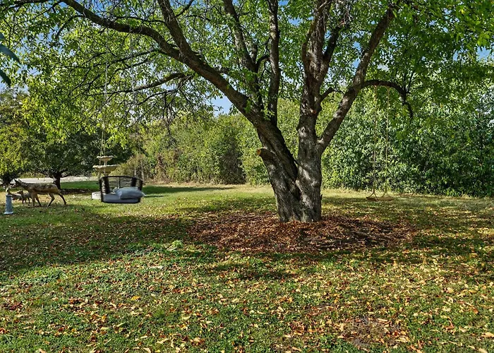 Greenway Getaway-private Huge Outdoor Fun, Game,navy Beach Park